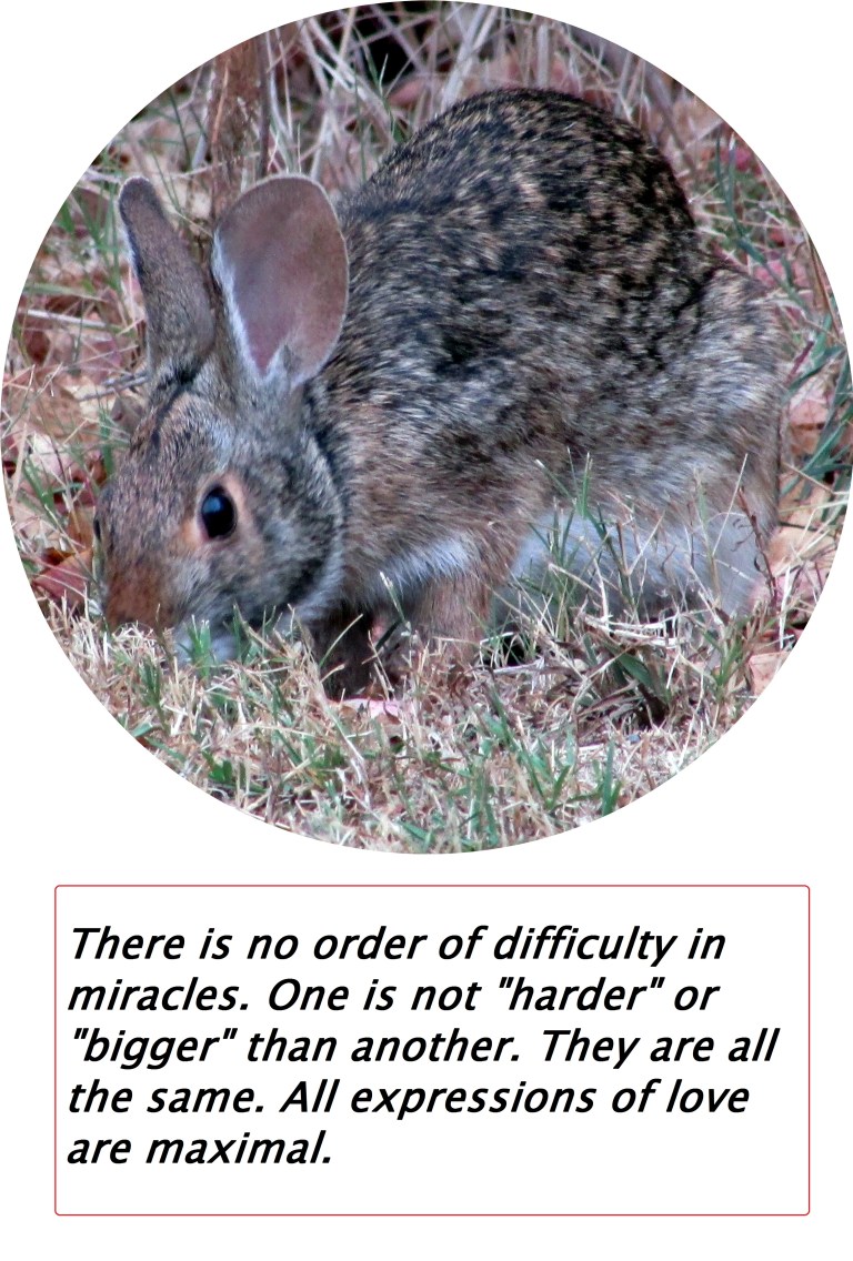 © Photo Artist Susan Ruth Robertson 006 - Copy.JPG