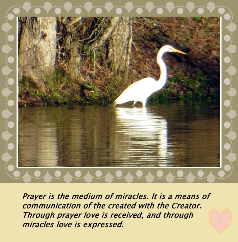 © Photo Artist Susan Ruth Robertson 090250610 008 - Copy.JPG