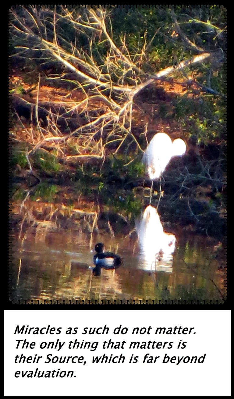 © Photo Artist Susan Ruth Robertson 090250610 009 - Copy.JPG