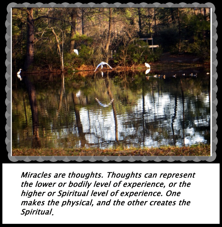 © Photo Artist Susan Ruth Robertson 090250610 010 - Copy.JPG