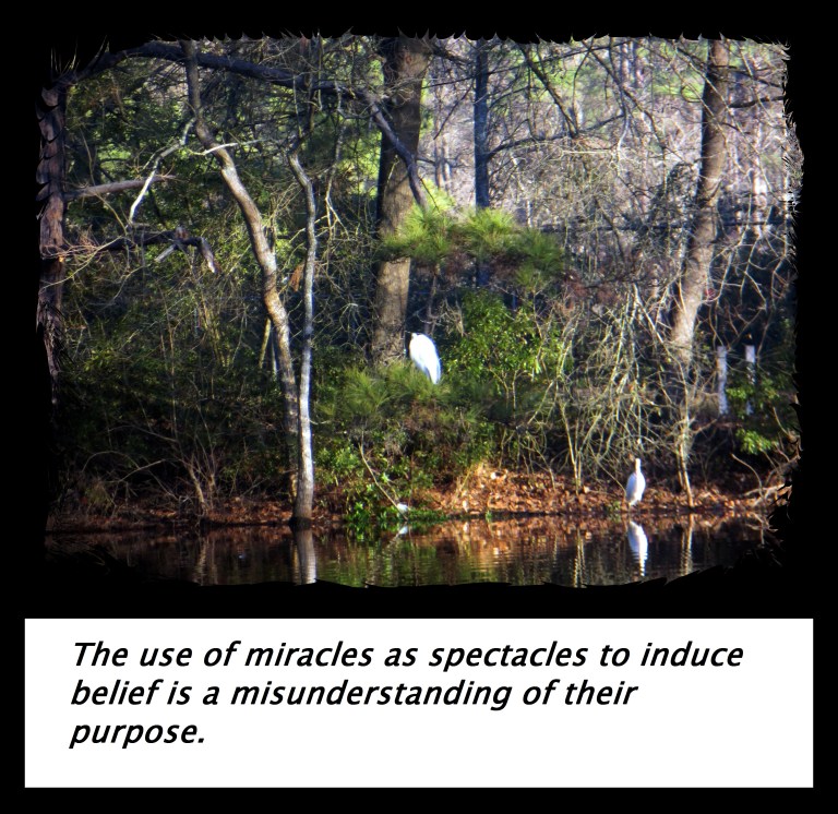 © Photo Artist Susan Ruth Robertson 090250610 012 - Copy.JPG