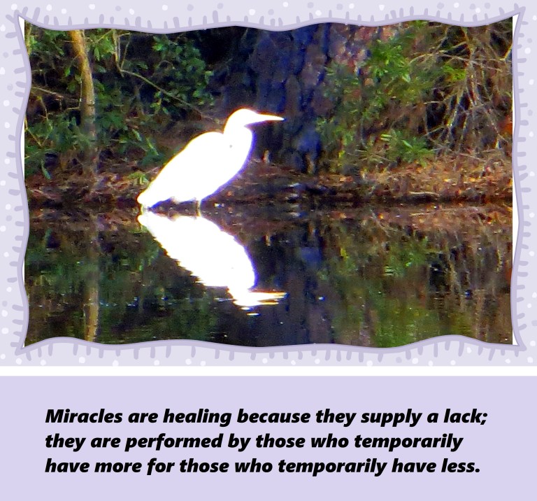 © Photo Artist Susan Ruth Robertson 090250610 017 - Copy.JPG