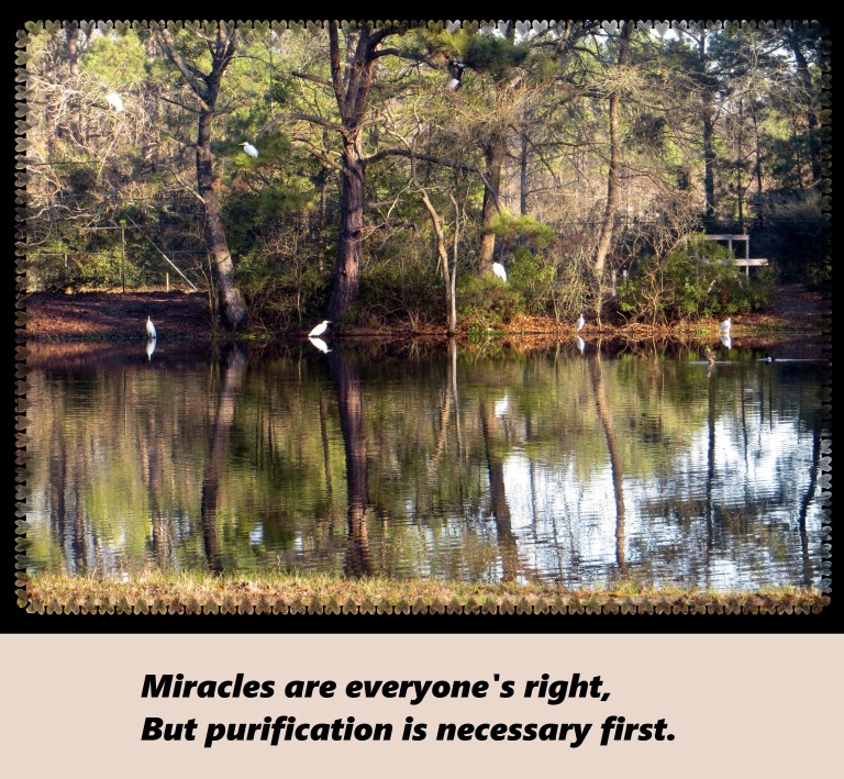 © Photo Artist Susan Ruth Robertson 090250610 018 - Copy.JPG