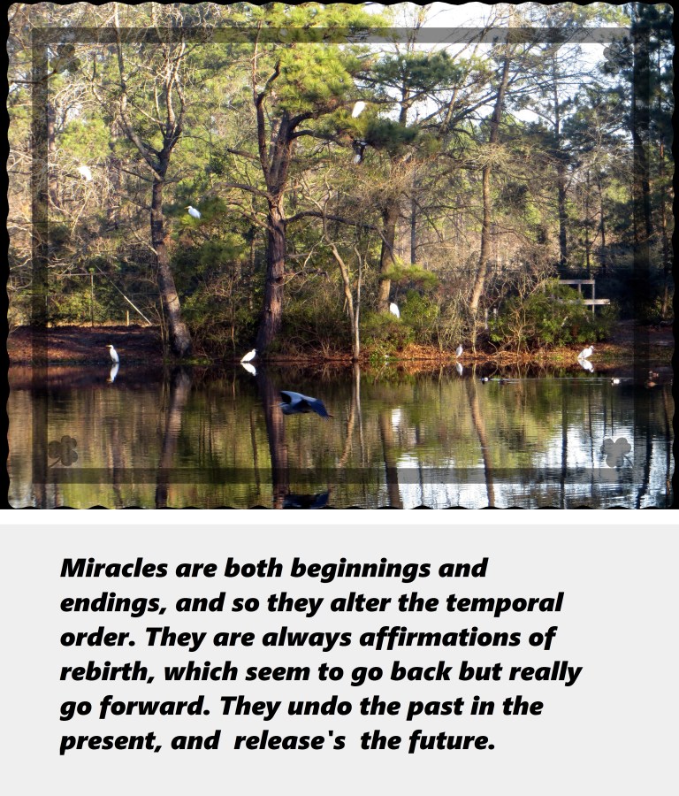 © Photo Artist Susan Ruth Robertson 090250610 019 - Copy.JPG