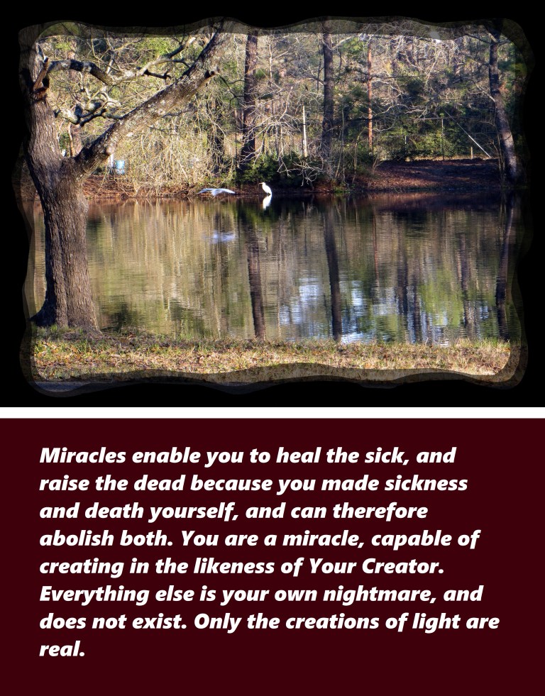 © Photo Artist Susan Ruth Robertson 090250610 022 - Copy.JPG