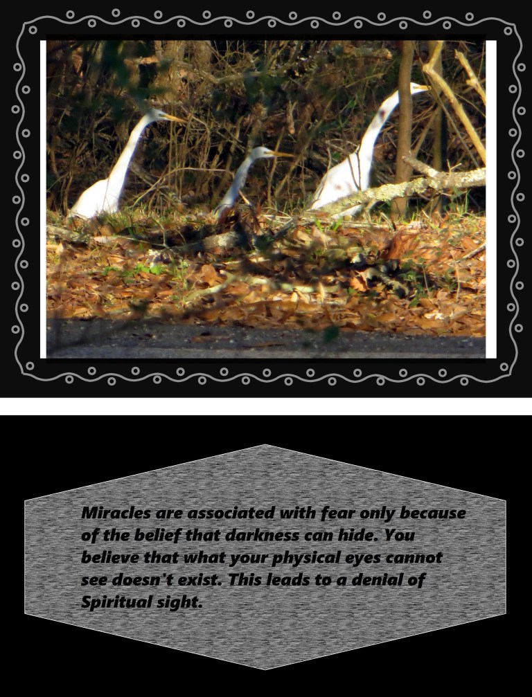 © Photo Artist Susan Ruth Robertson 090250610 024 - Copy.JPG