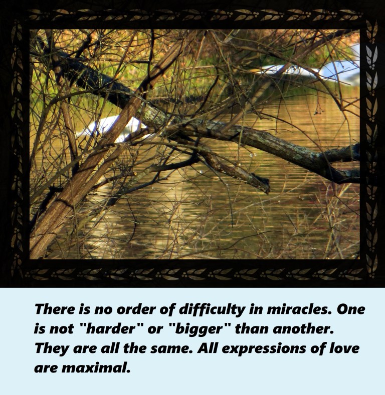 © Photo Artist Susan Ruth Robertson 090250610 027 - Copy.JPG