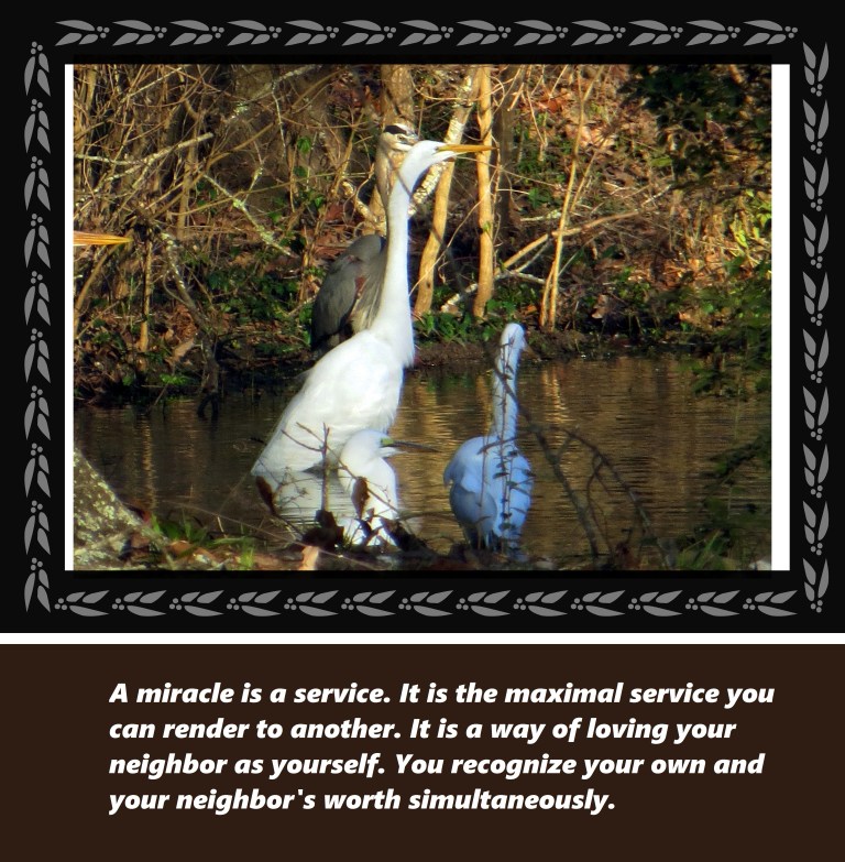 © Photo Artist Susan Ruth Robertson 090250610 034 - Copy.JPG