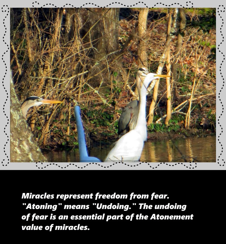 © Photo Artist Susan Ruth Robertson 090250610 036 - Copy