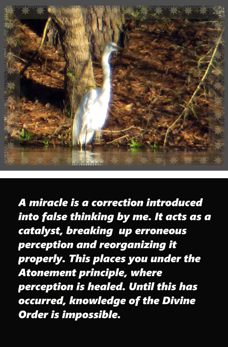 © Photo Artist Susan Ruth Robertson 090250610 038 - Copy.JPG