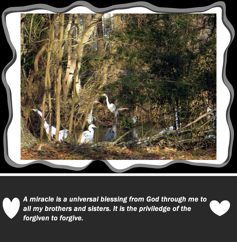 © Photo Artist Susan Ruth Robertson 090250610 039 - Copy