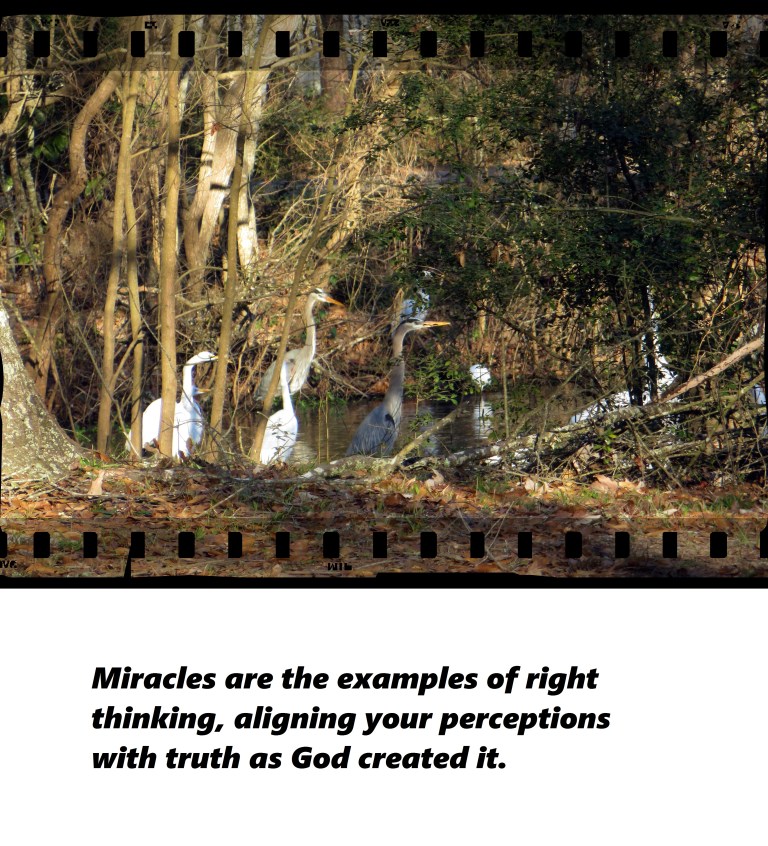 © Photo Artist Susan Ruth Robertson 090250610 040 - Copy.JPG