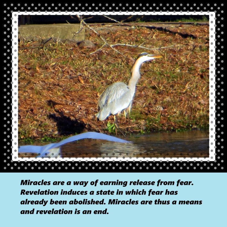 © Photo Artist Susan Ruth Robertson 090250610 042 - Copy.JPG