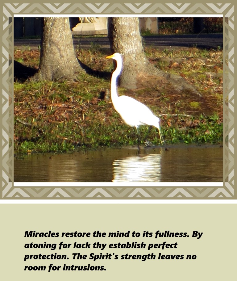 © Photo Artist Susan Ruth Robertson 090250610 047 - Copy.JPG