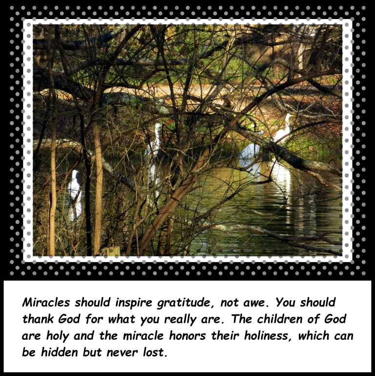 © Photo Artist Susan Ruth Robertson 090250610 055 - Copy.JPG