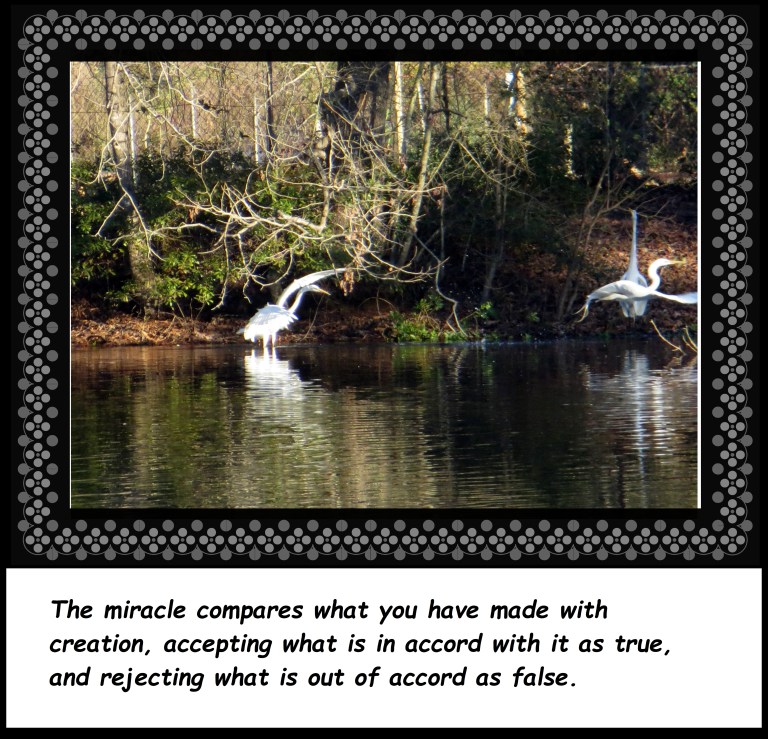 © Photo Artist Susan Ruth Robertson 090250610 059 - Copy.JPG