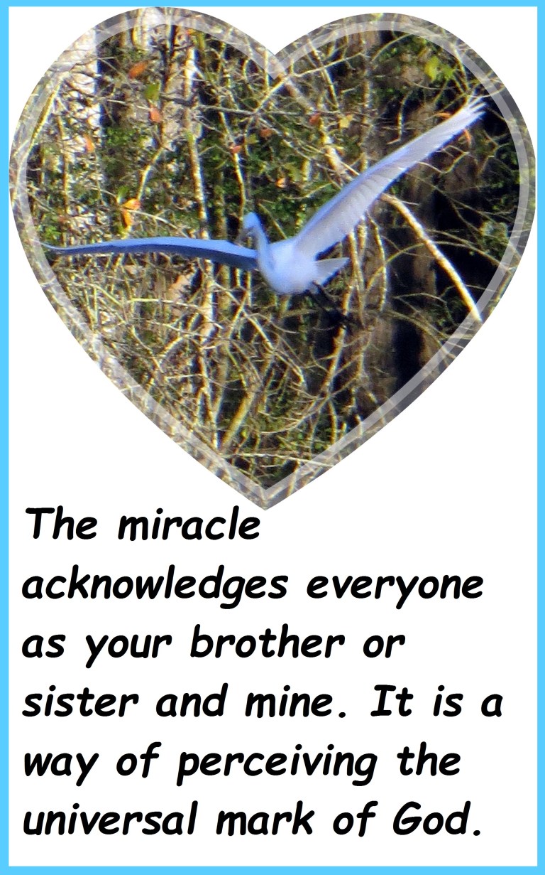 © Photo Artist Susan Ruth Robertson 090250610 063 - Copy.JPG