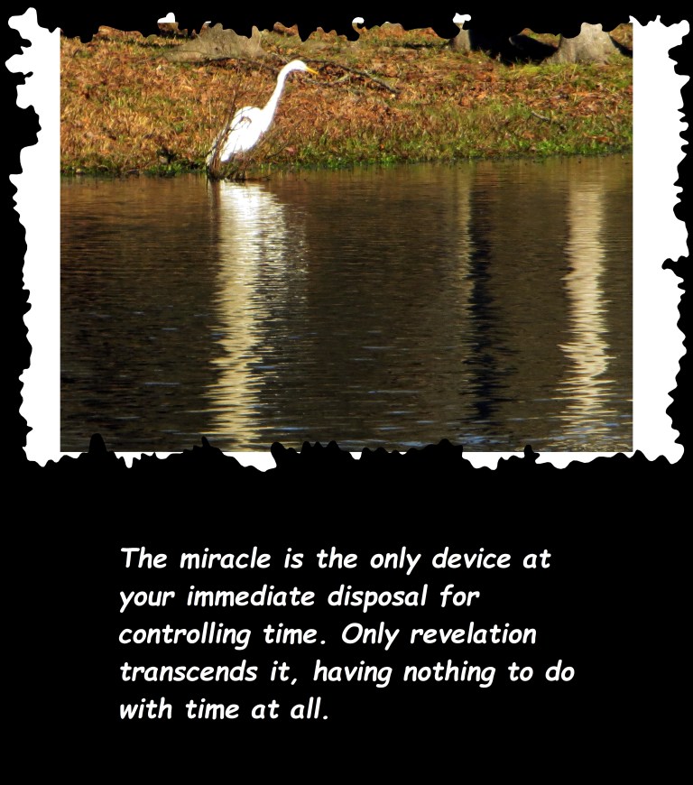 © Photo Artist Susan Ruth Robertson 090250610 066 - Copy.JPG