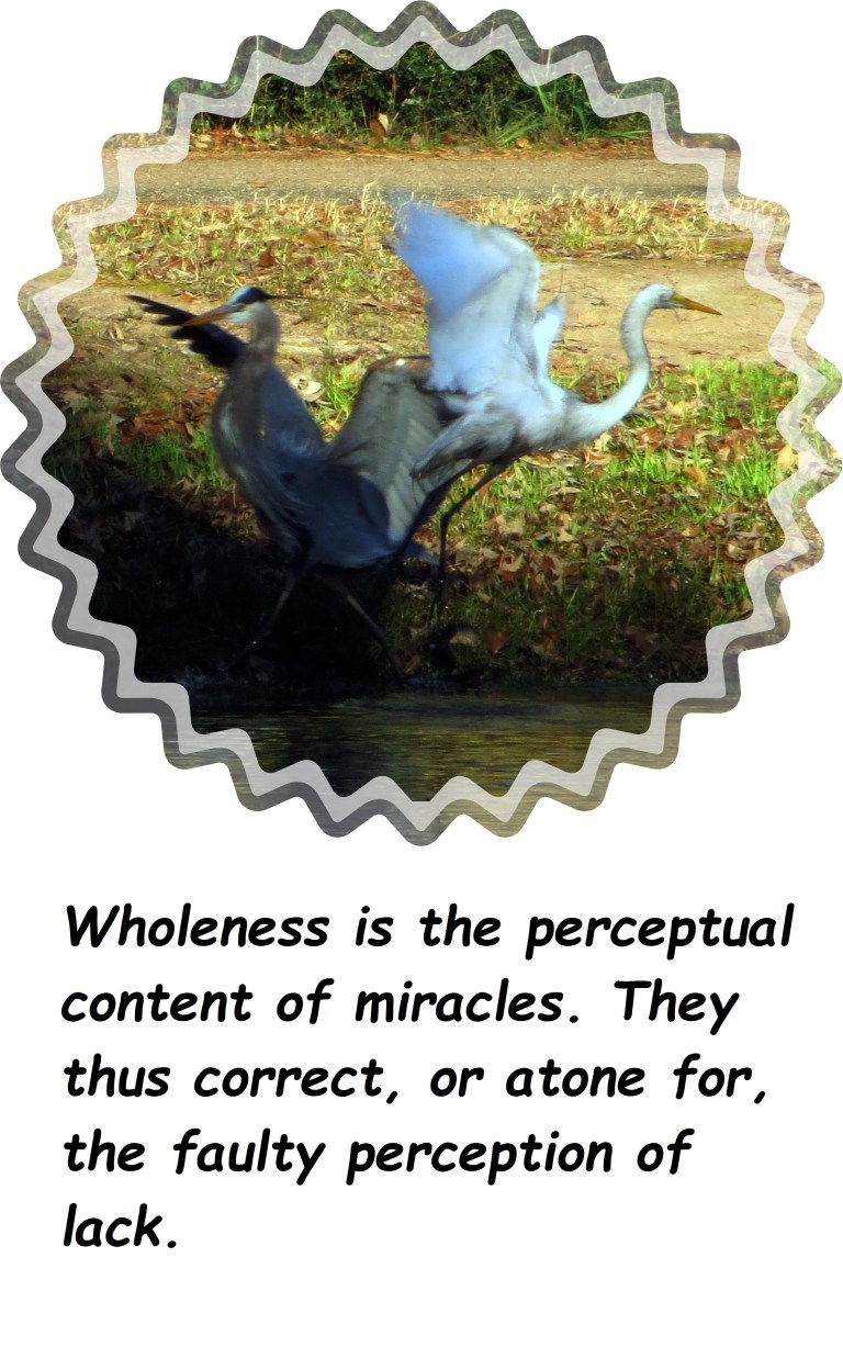 © Photo Artist Susan Ruth Robertson 090250610 077 - Copy.JPG