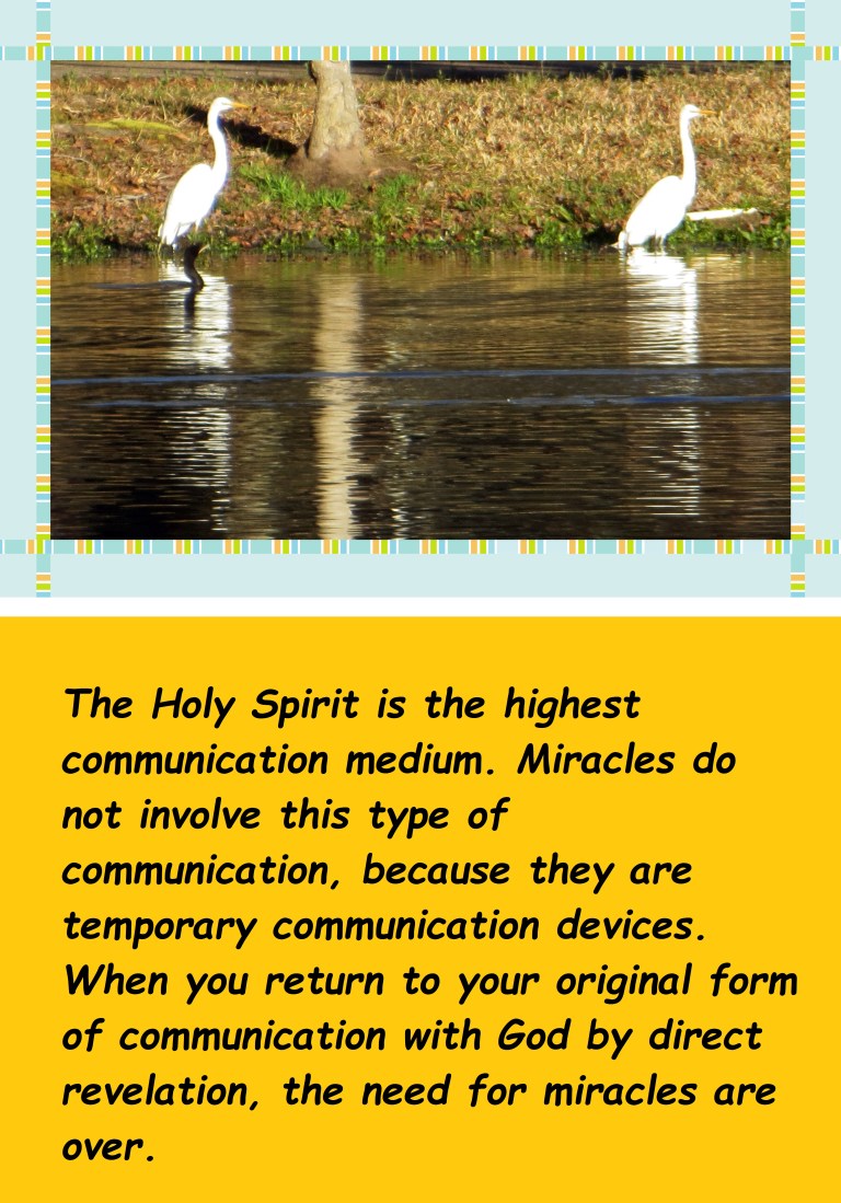 © Photo Artist Susan Ruth Robertson 090250610 117 - Copy.JPG