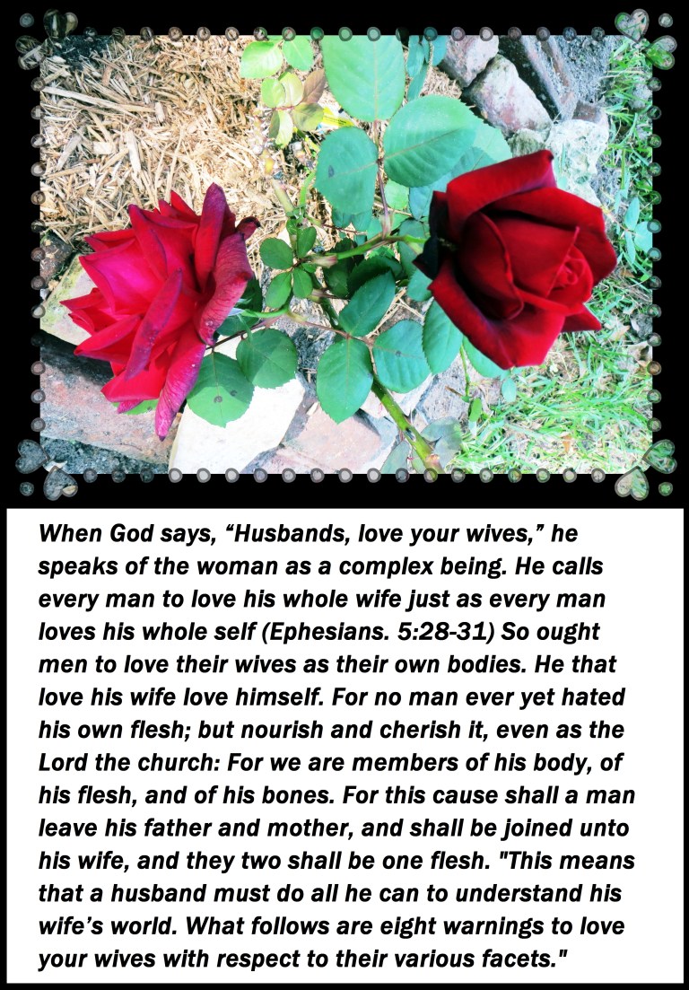 © Photo Artist Susan Ruth Robertson 09002500610 010 - Copy.JPG