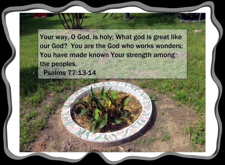 © Photo Artist Susan Ruth Robertson 09002500610 030.JPG