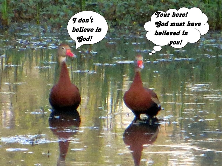 © Photo Artist Susan Ruth Robertson 090025006100 015.JPG