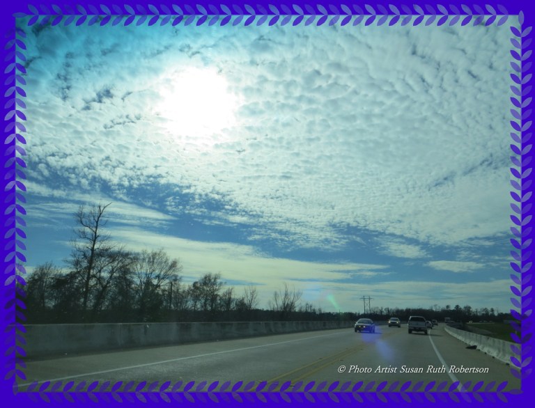 Photo Artist Susan Robertson (19).JPG