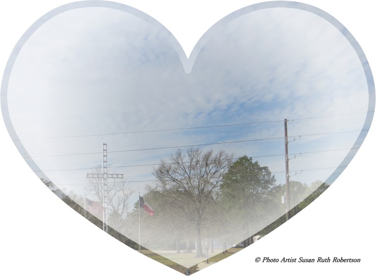 Photo Artist Susan Robertson (7).JPG