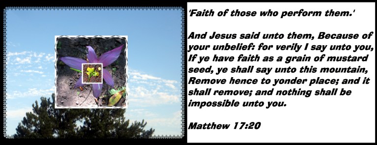 © Photo Artist Susan Ruth Robertson 090025006100 009.JPG