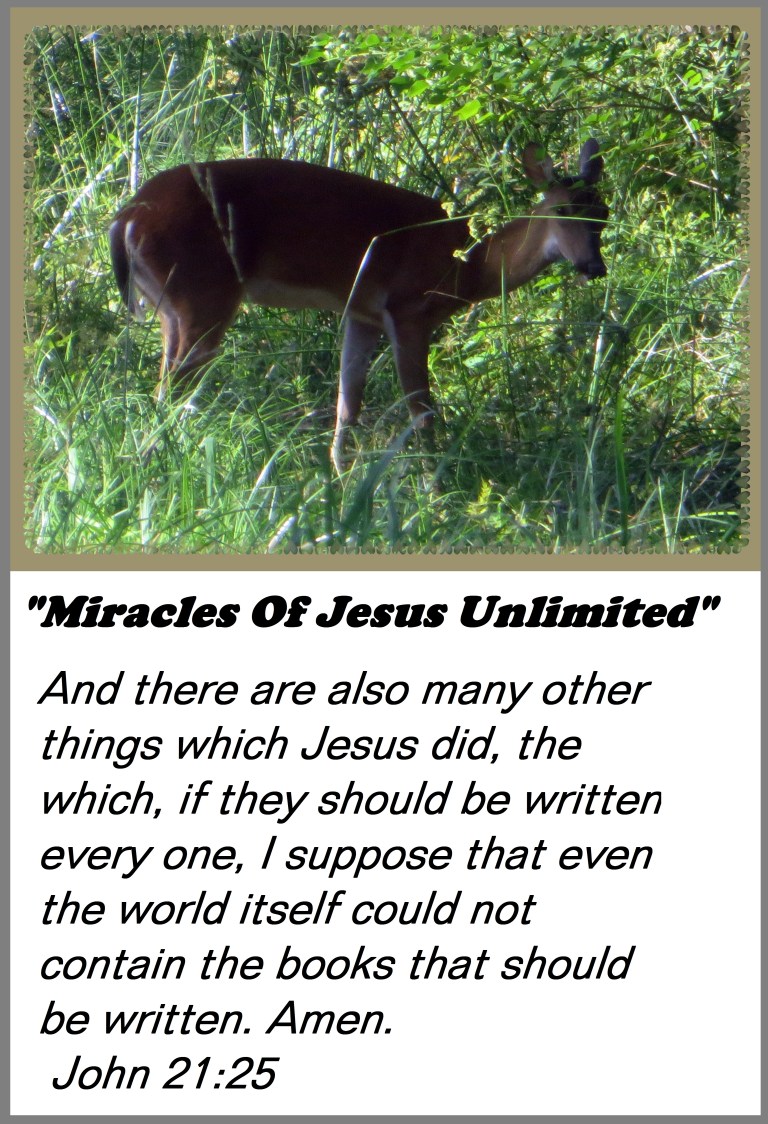 © Photo Artist Susan Ruth Robertson 090025006100 012 - Copy.JPG