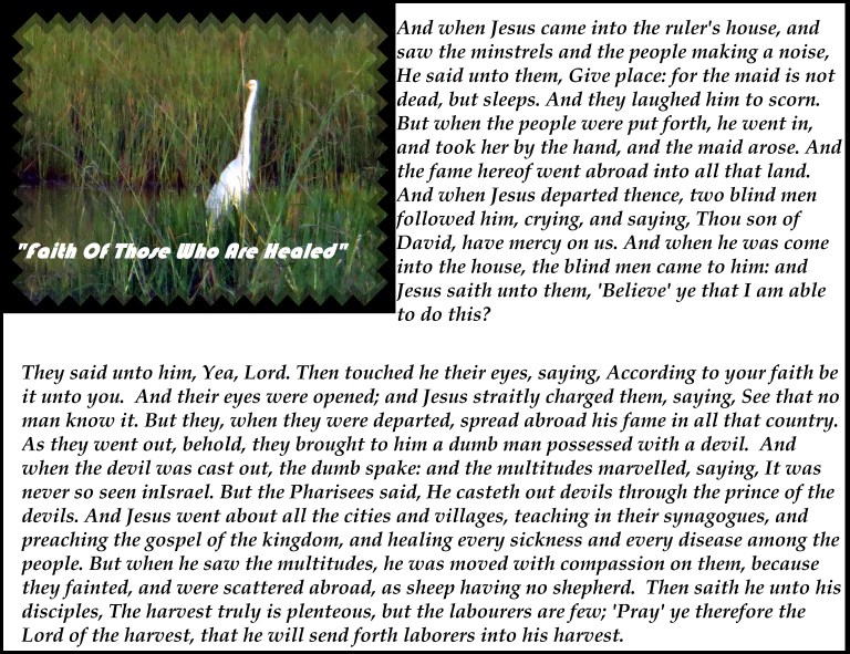 © Photo Artist Susan Ruth Robertson 090025006100 013 - Copy.JPG