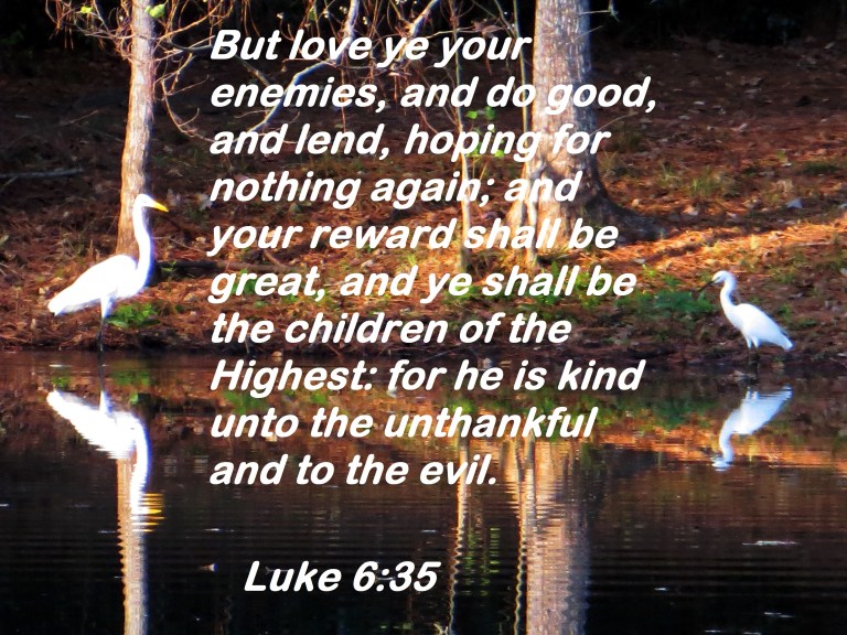 © Photo Artist Susan Ruth Robertson 090025006100 021 - Copy.JPG