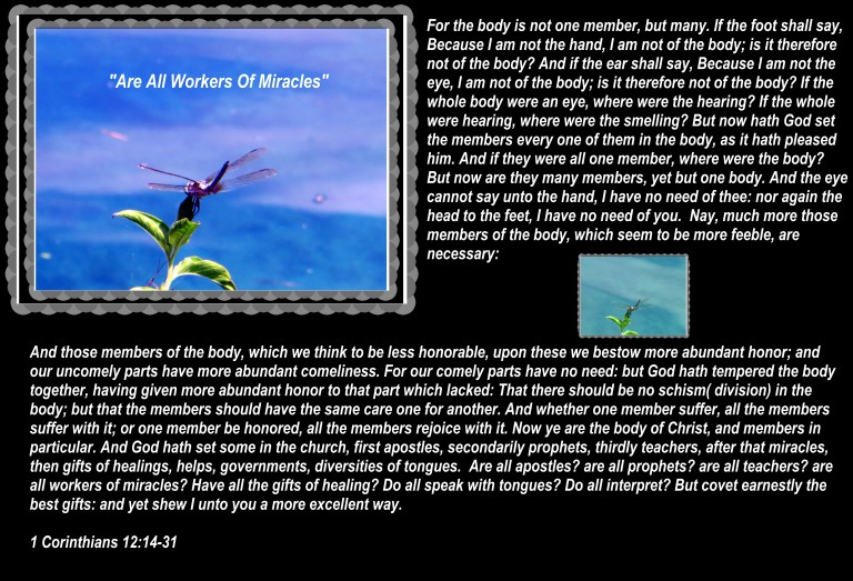 © Photo Artist Susan Ruth Robertson 090025006100 023 - Copy.JPG