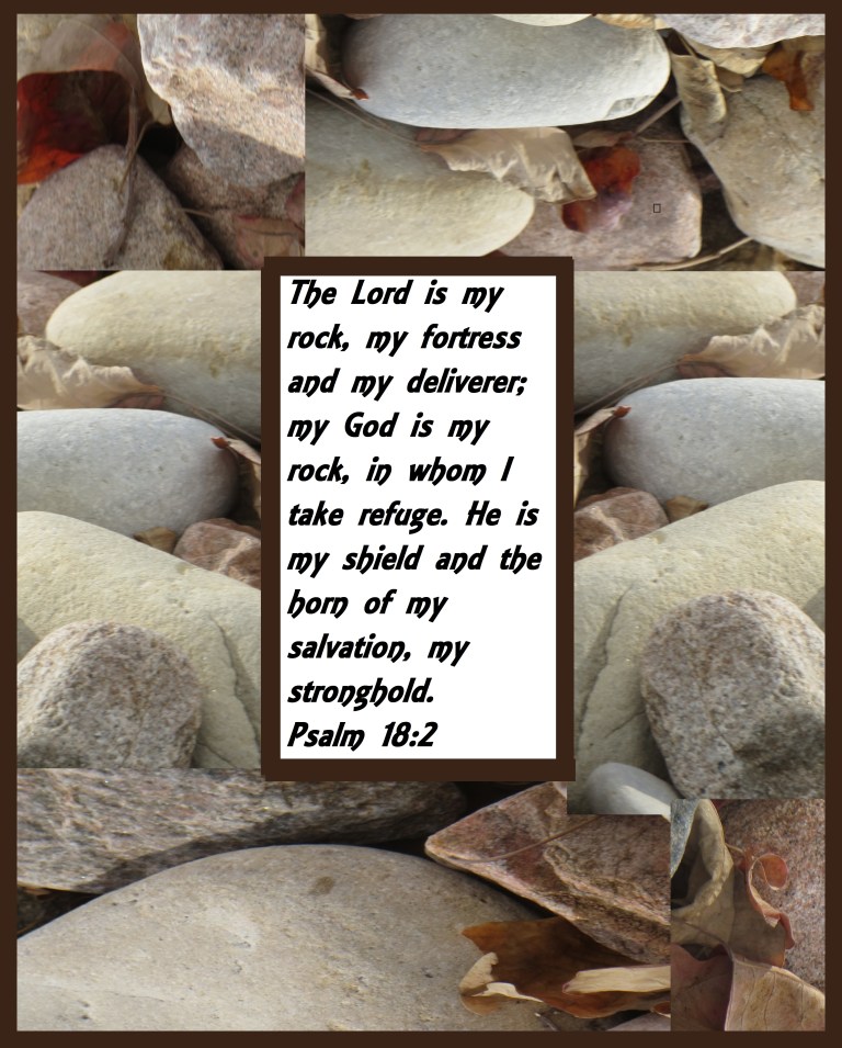 © Photo Artist Susan Ruth Robertson 090025006100 025 - Copy.JPG