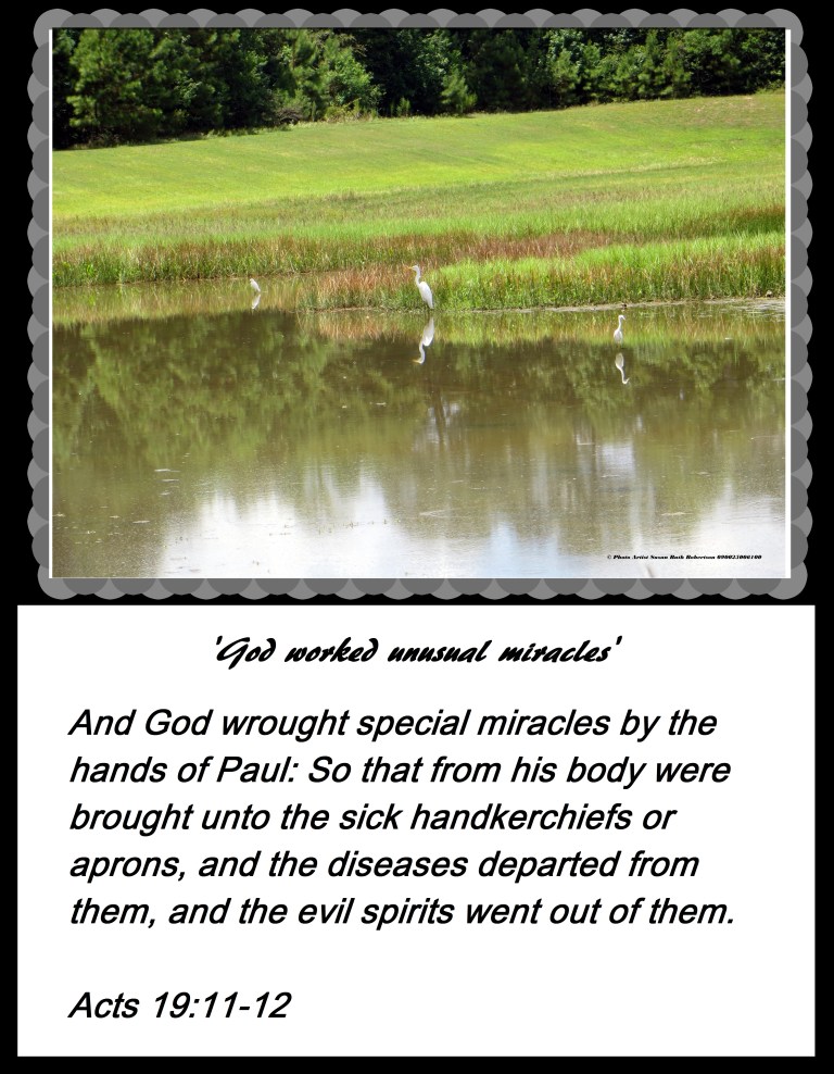 © Photo Artist Susan Ruth Robertson 090025006100 037 - Copy.JPG