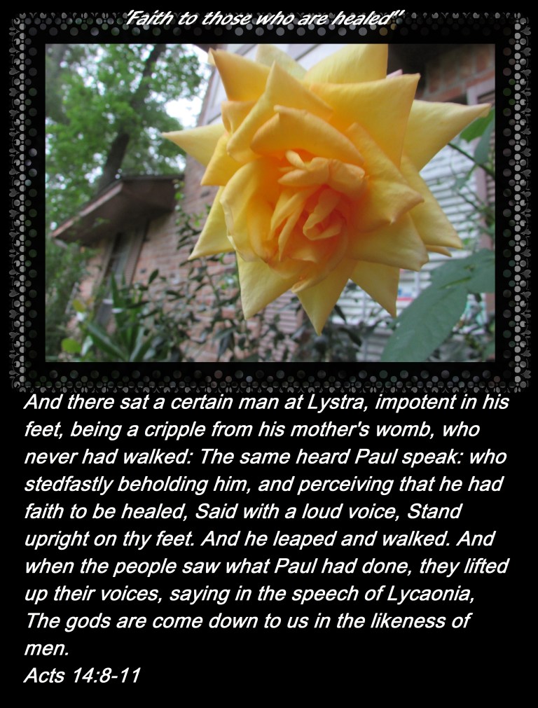 © Photo Artist Susan Ruth Robrtson 090025006100 020 - Copy.JPG