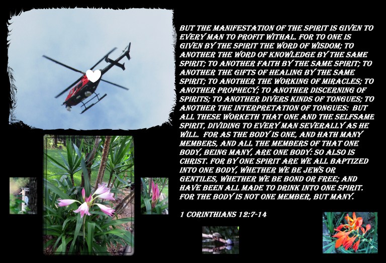 SX400 IS  © Photo Artist Susan Ruth Robertson 090025006100 021 - Copy.JPG