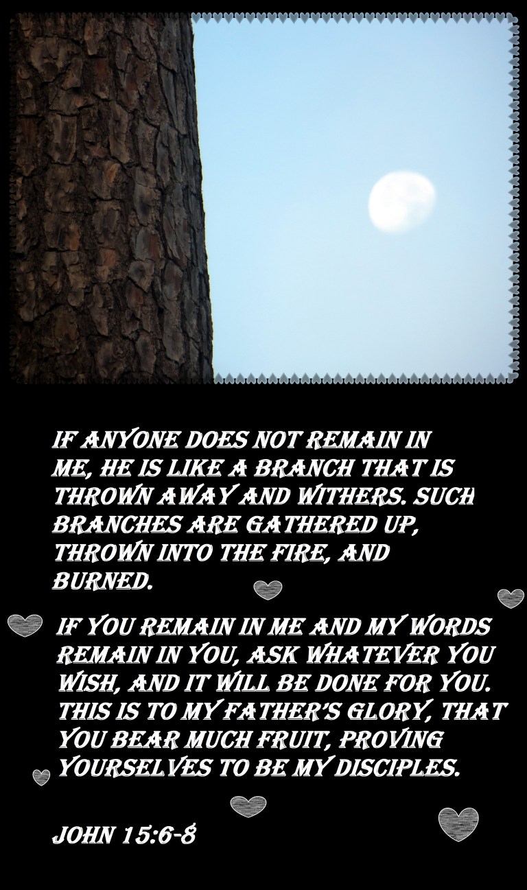 © Photo Artist Susan Ruth Robertson 090025006100 001 - Copy.JPG