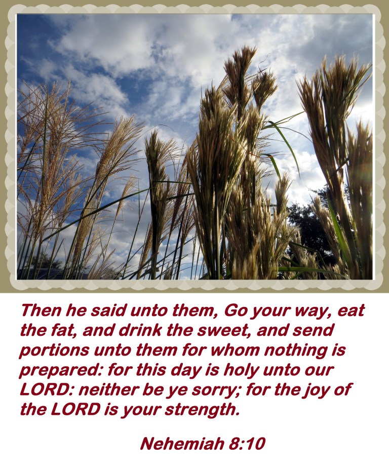 © Photo Artist Susan Ruth Robertson 090025006100 013 - Copy.JPG