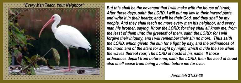 © Photo Artist Susan Ruth Robertson 090025006100 014 - Copy.JPG