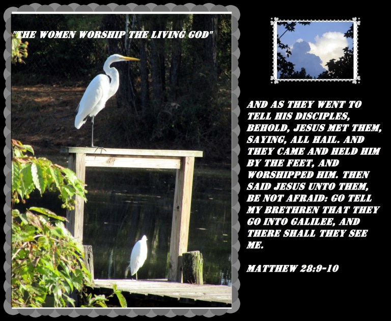 © Photo Artist Susan Ruth Robertson 090025006100 015 - Copy.JPG