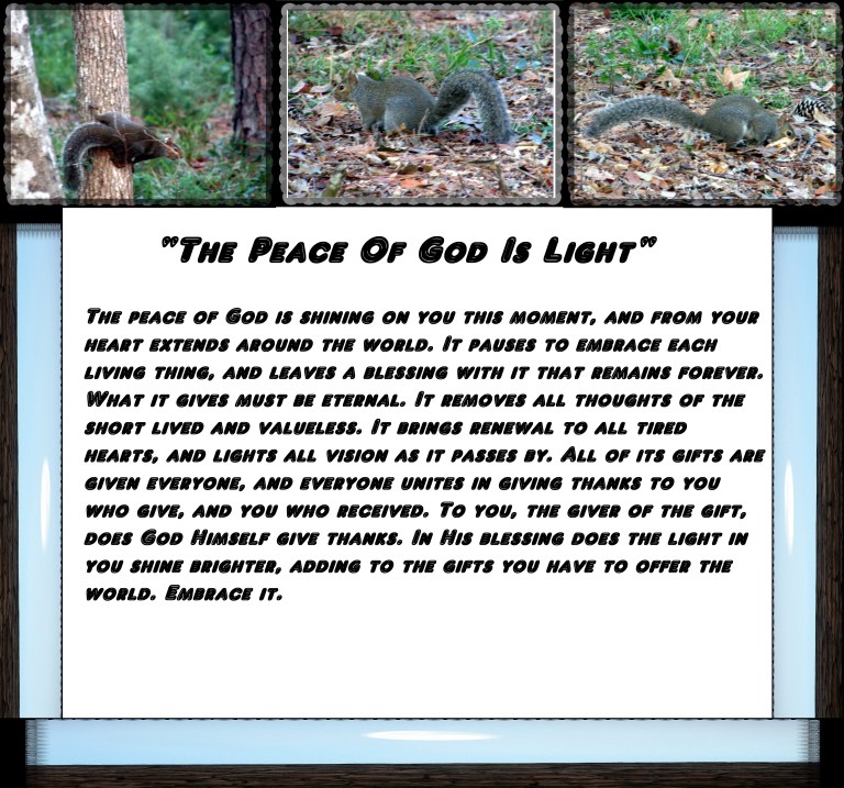 © Photo Artist Susan Ruth Robertson 090025006100 015 - Copy.JPG