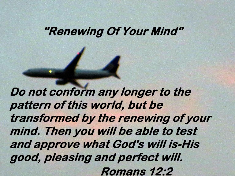 © Photo Artist Susan Ruth Robertson 090025006100 016 - Copy.JPG