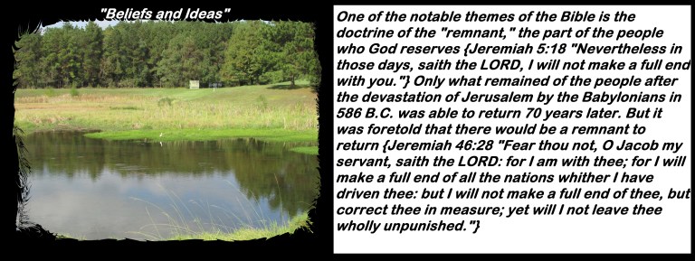 © Photo Artist Susan Ruth Robertson 090025006100 029 - Copy.JPG