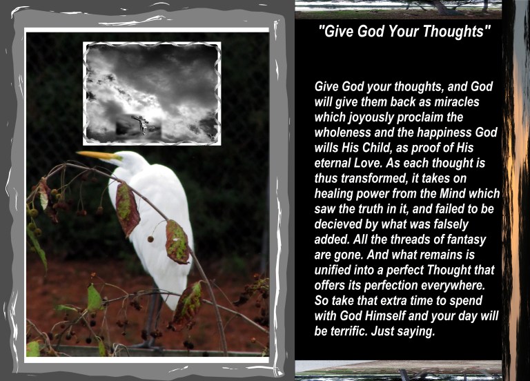 © Photo Artist Susan Ruth Robertson 090025006100 034 - Copy.JPG