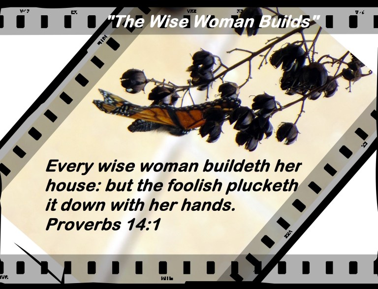 © Photo Artist Susan Ruth Robertson 090025006100 054 - Copy.JPG