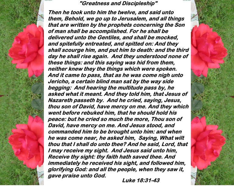 © Photo Artist Susan Ruth Robertson 090025006100 061 - Copy - Copy - Copy.JPG