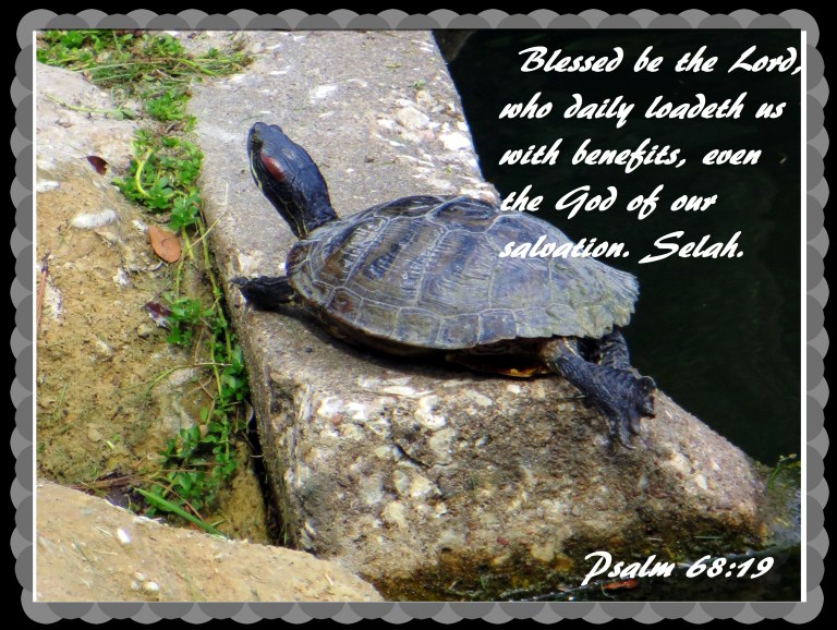 © Photo Artist Susan Ruth Robertson 090025006100 071 - Copy.JPG