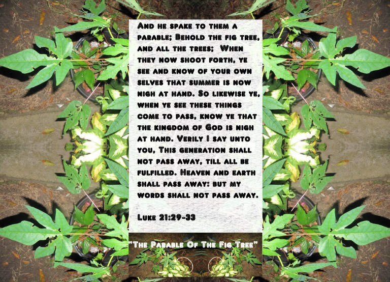 © Photo Artist Susan Ruth Robertson 090025006100 002 - Copy (2).JPG